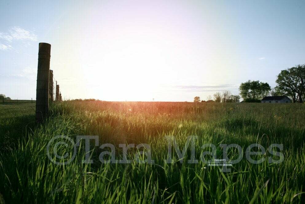 Sunset Field by Fence Nature Digital Background Backdrop