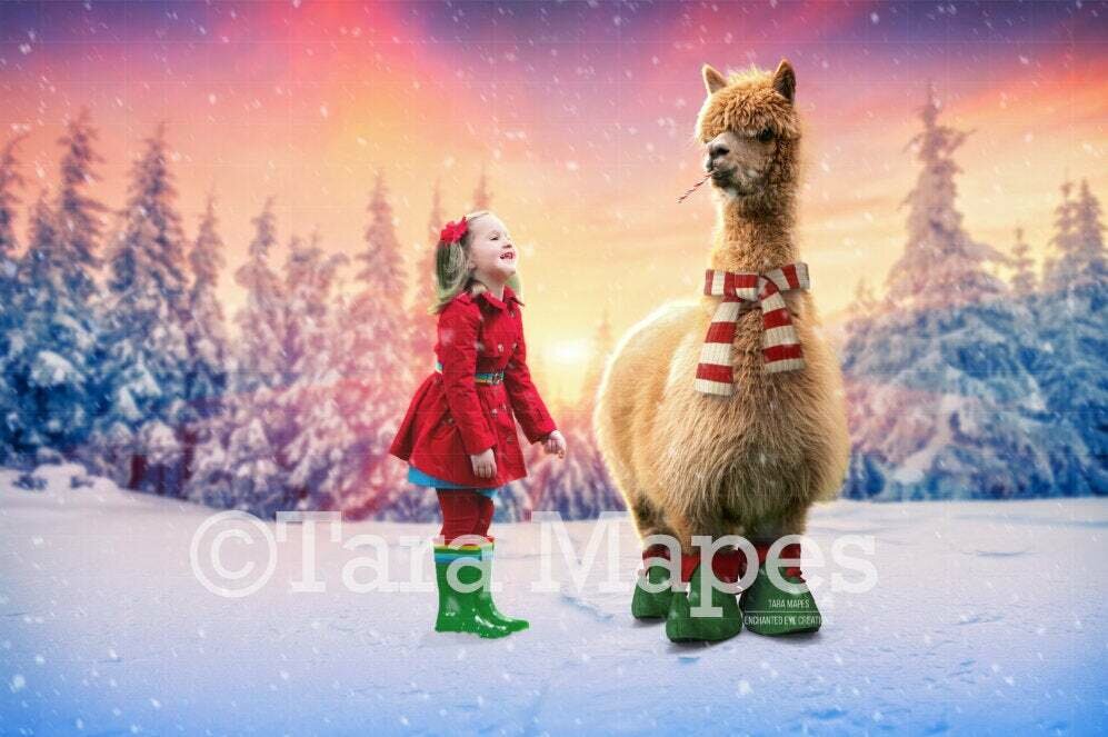 Christmas Alpaca - Winter Holiday Digital Background - Alpaca digital backdrop - Funny Christmas Digital Background Backdrop