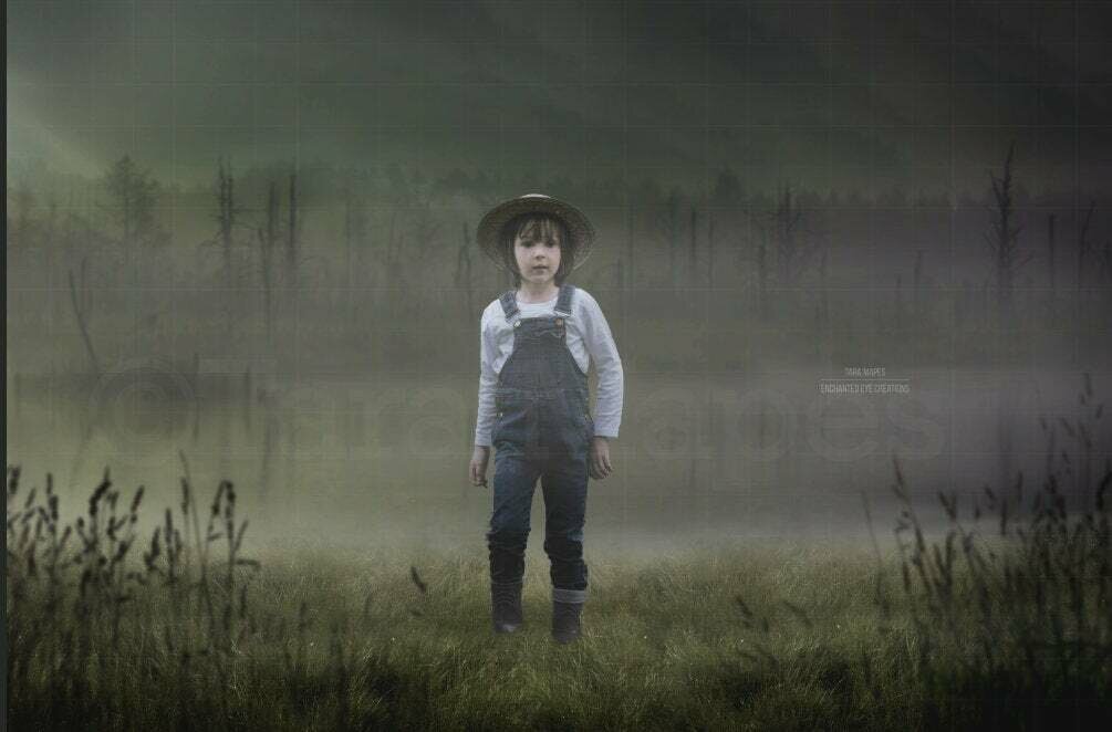 Swamp Scary Foggy Spooky Digital Background / Backdrop