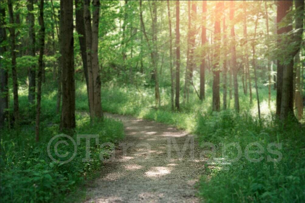 Forest Path in Woods, Dirt Path Country Nature Digital Background Backdrop