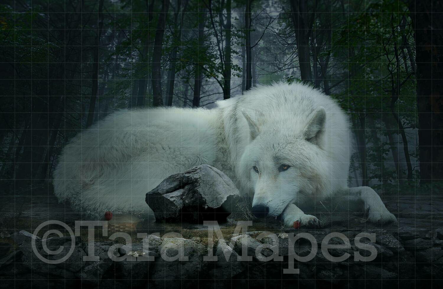 Little Red Riding Hood in Forest with Wolf Digital Background