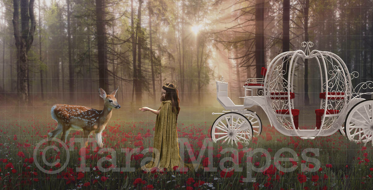 Princess in Forest with Carriage Digital Background