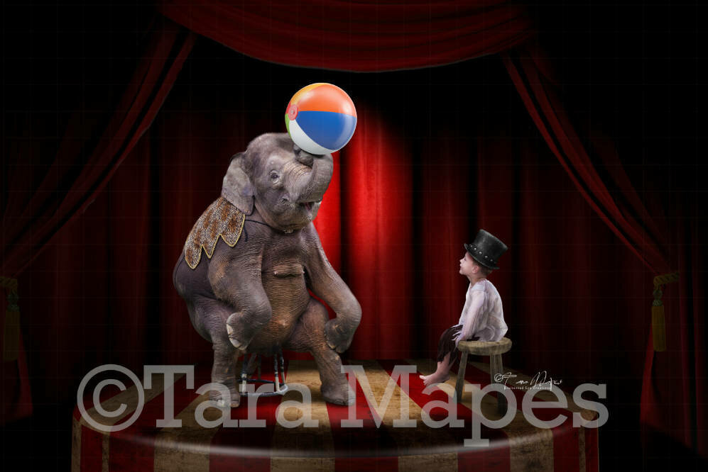 Big Top Circus Elephant on Stage Digital Background