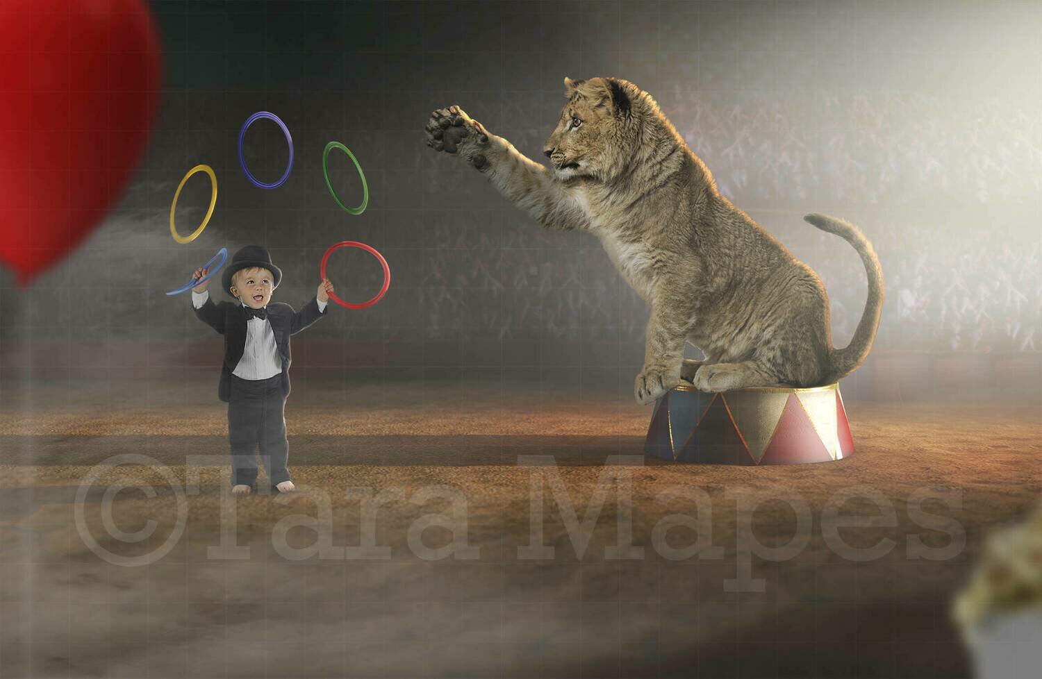 Circus Lion Cub Digital Background