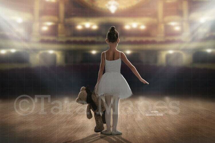 Empty Theater Stage Facing Crowd / Seating for Ballerina or Performer Digital Background / Backdrop