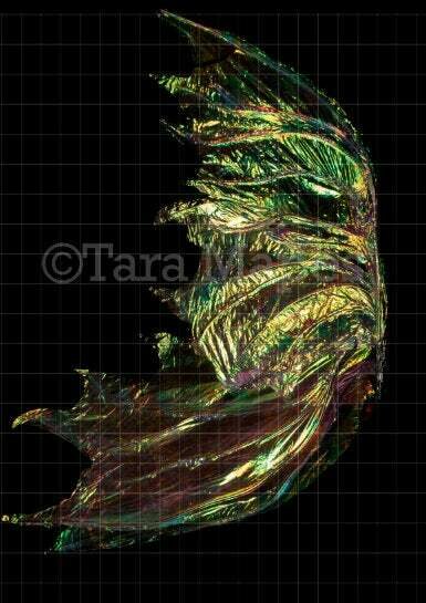 Iridescent Gold Wispy Fairy Wing Overlay - Rainbow Glittery Fairy Wing Overlay - Fairy Digital Wing - Sparkles Fairy Wing
