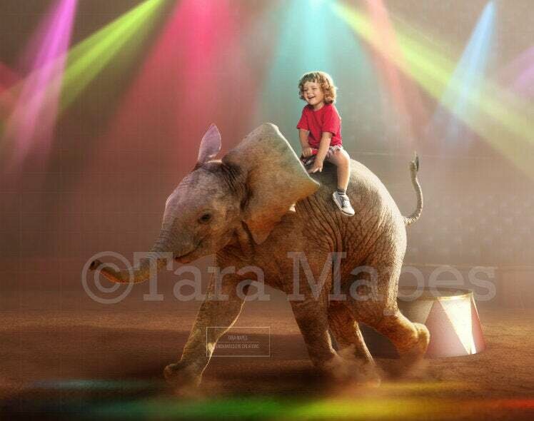 Baby Elephant in Circus Ring Arena Stage Digital Background Backdrop