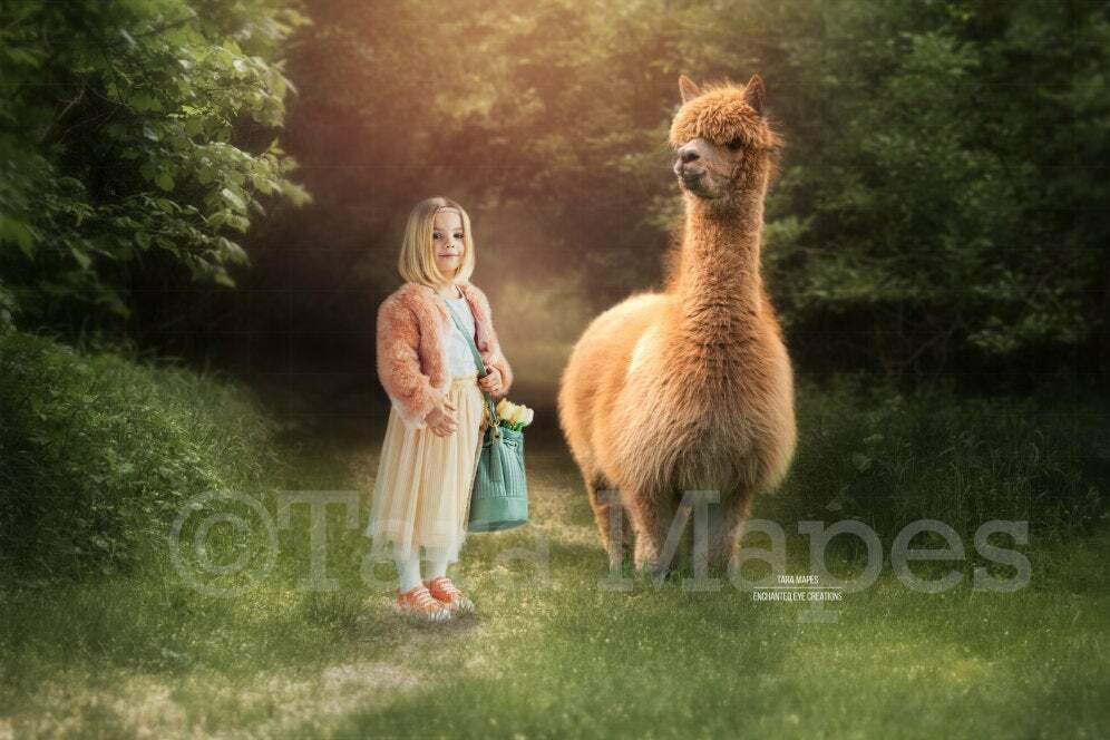 Brown Baby Alpaca in Forest Digital Background - Alpaca digital backdrop - Funny Sweet Digital Background Backdrop