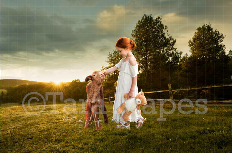 Baby Goat on Farm Field Digital Background