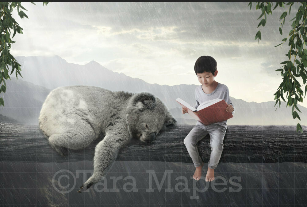 Koala Sleeping on a Branch Digital Background / Backdrop