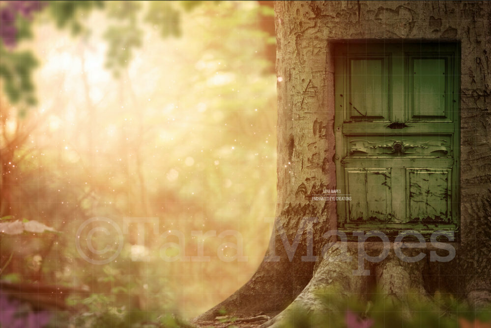 Fairy Door in Tree Photoshop Digital Background / Backdrop