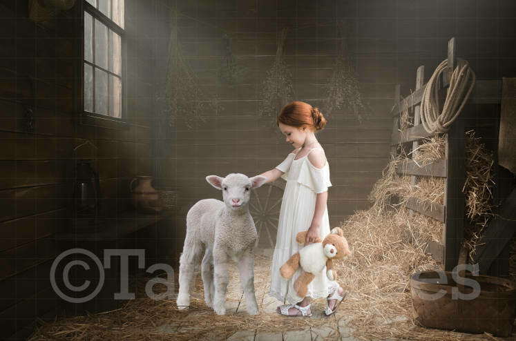 Baby Lamb in Barn Digital Background
