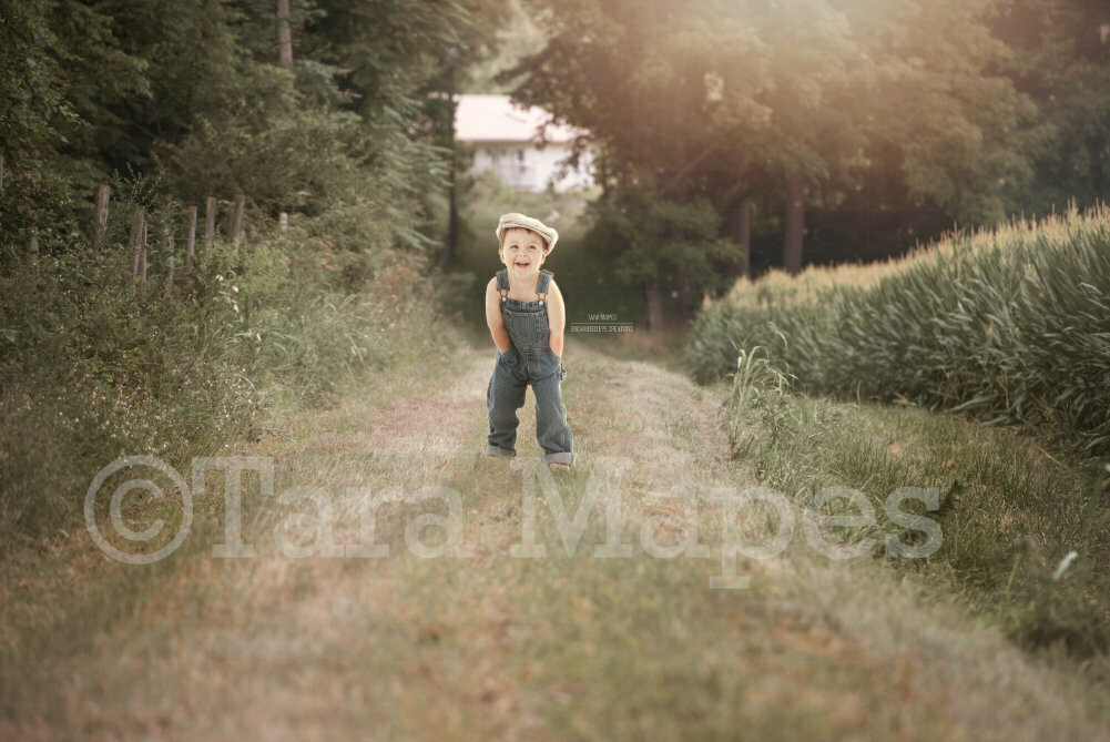 Creamy Farm Road Country Grass Path Digital Background Backdrop