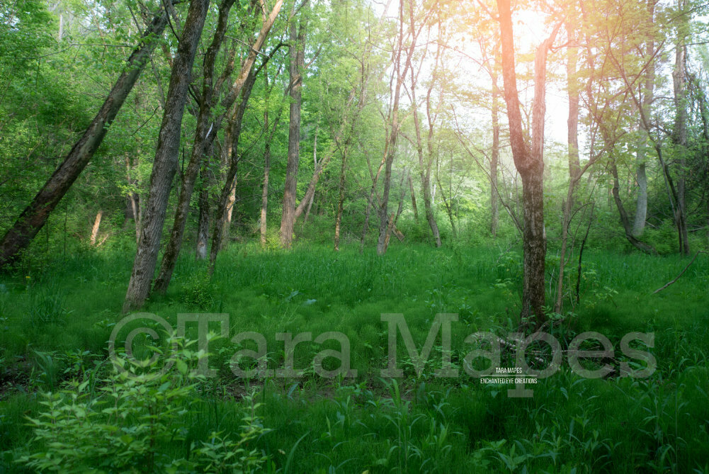 Forest Clearing, Fairy Place Magic Nature Digital Background Backdrop