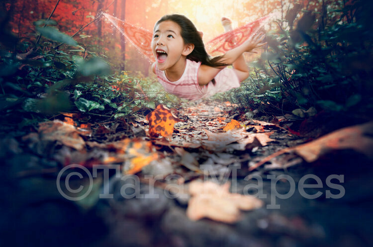 Magic Forest Path for Fairy or Forest Creatures Digital Background / Backdrop