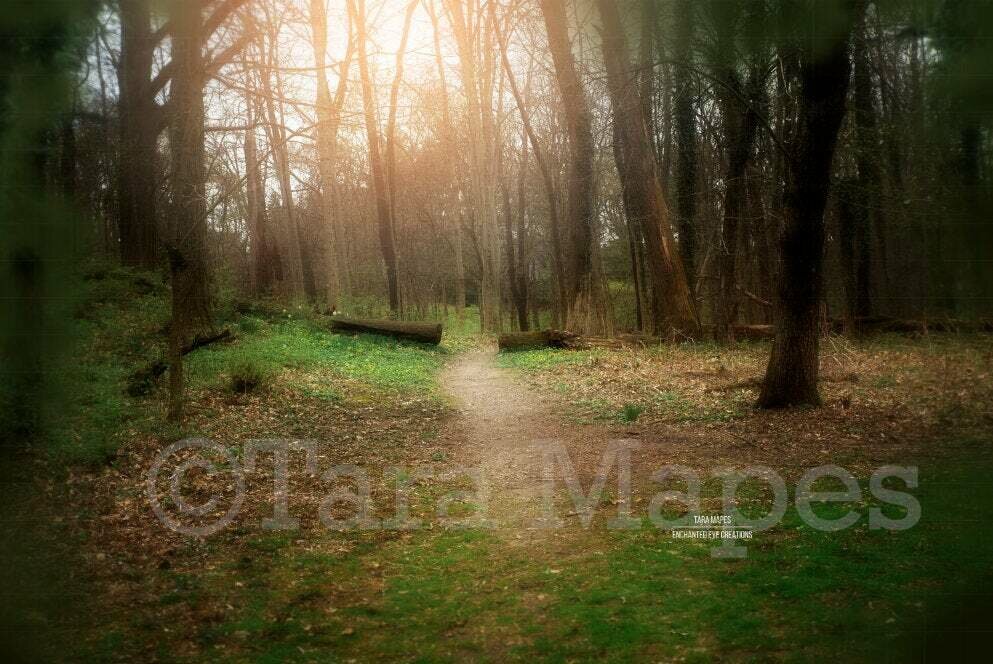 Magic Forest Path - Path in Forest Spring Digital Background Backdrop