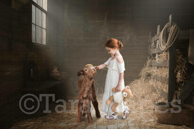 Baby Goat in Barn with Hay Digital Background