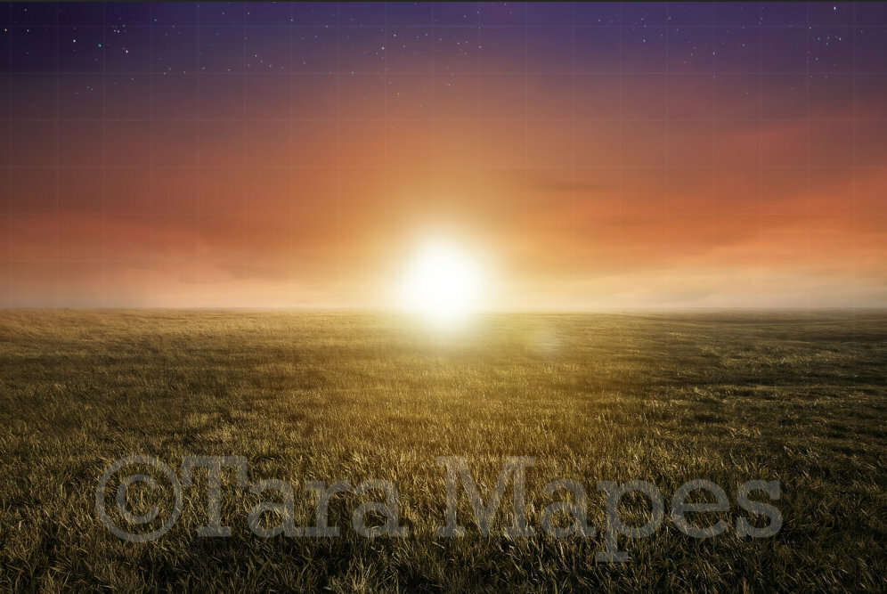 Creamy Sunset Over Field Digital Background / Backdrop