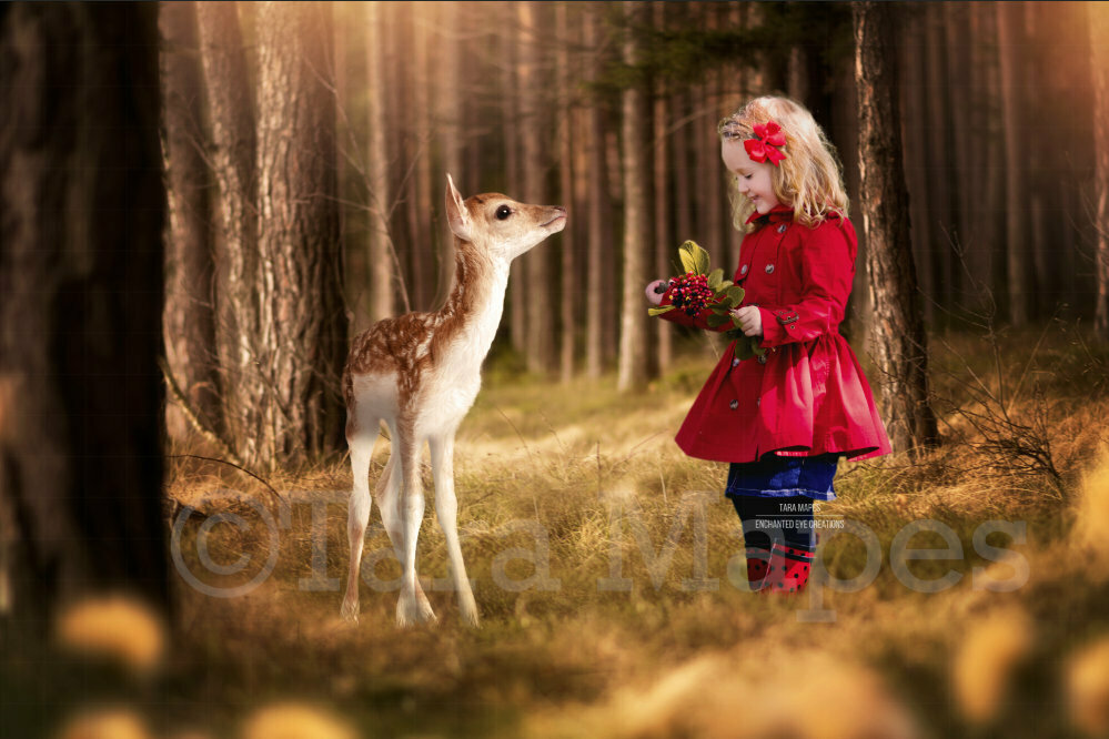 Baby Deer in Spring Forest - Creamy Forest - Digital Background Backdrop