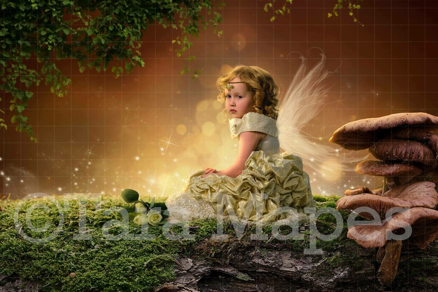 Fairy Log Digital Background