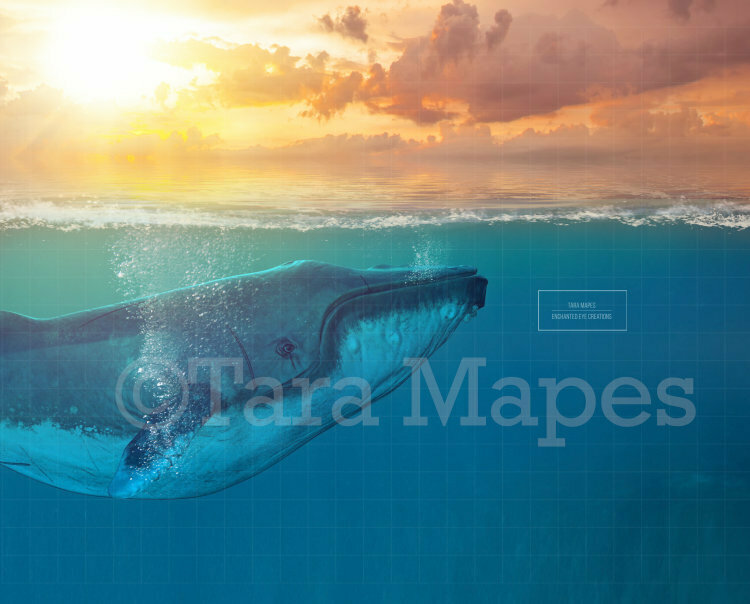Whale in Ocean Digital Background Backdrop