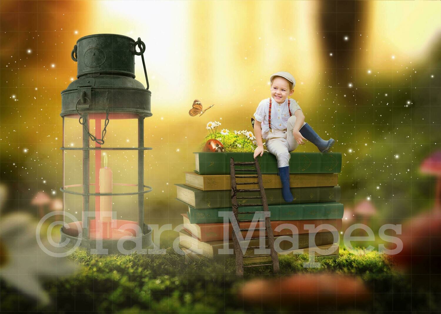 Book Stack in Fairy Forest Digital Background