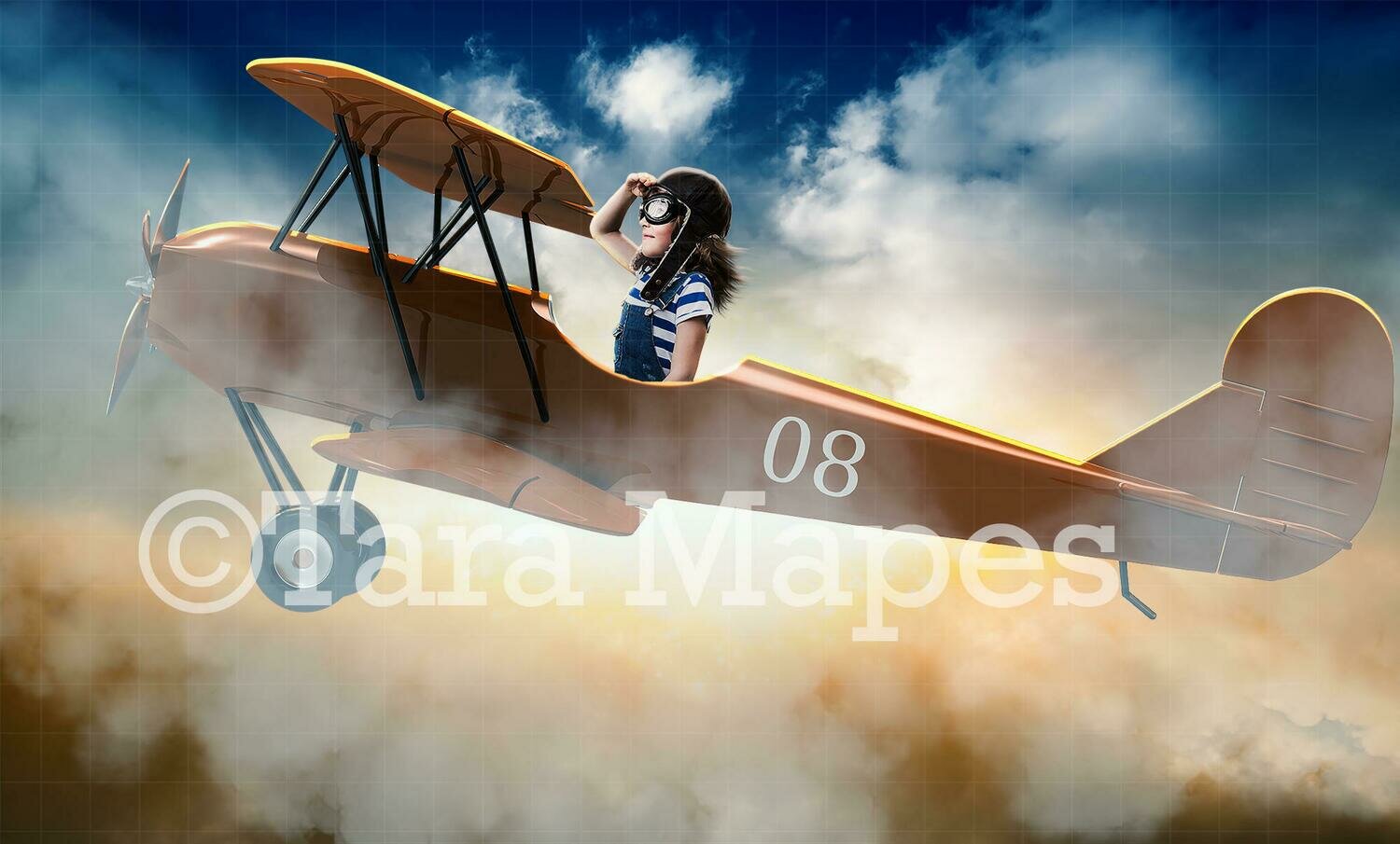 Toy Airplane Pilot Digital Background