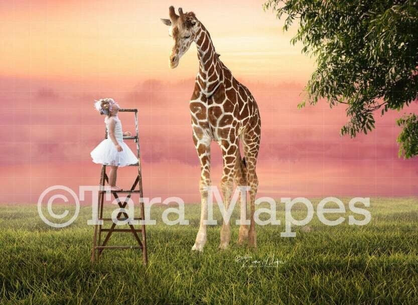 Baby Giraffe and Ladder Digital Background / Backdrop