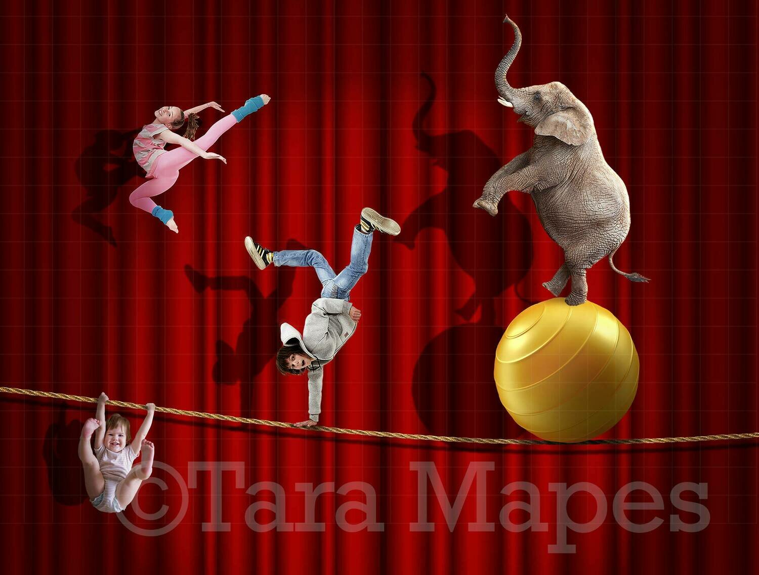Circus Elephant Tightrope Digital Background