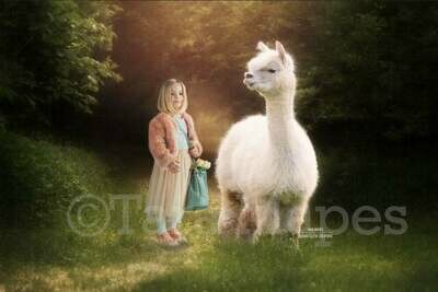 Baby Alpaca in Forest Digital Background - Alpaca digital backdrop - Funny Sweet Digital Background Backdrop