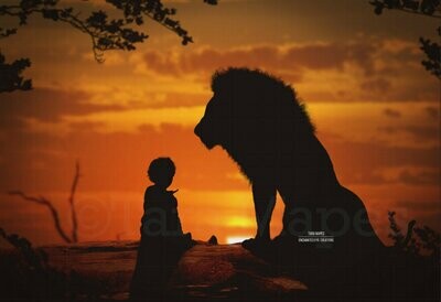 A Lion King on Cliff - Silhouette King of Lions Overlooking Sunset Digital Background Backdrop