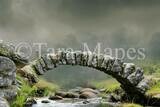 Arch Bridge Digital Background