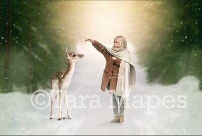 Baby Deer in Snowy Forest  - Path - Snowy Road Winter Digital Background Backdrop