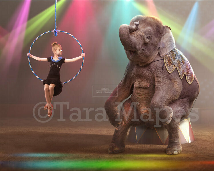 Baby Circus Elephant on Stage in Circus Ring Digital Background