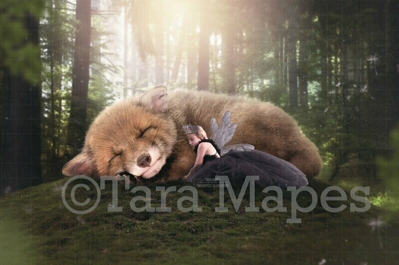 Baby Fox in Forest - Fairy Forest- Fox Digital Background Backdrop