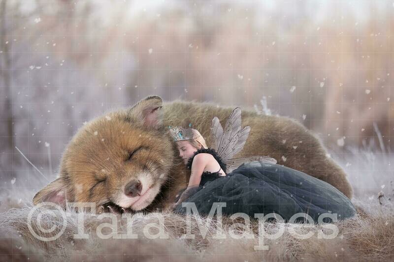Baby Fox and Fairy Digital Background