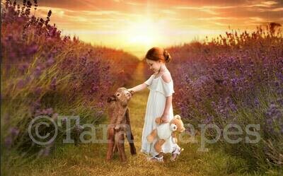 Baby Goat in Lavender Field with Sunset Spring Easter Digital Background Backdrop
