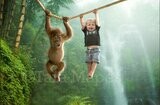 Baby Monkey on Rope in Jungle Digital Background / Backdrop