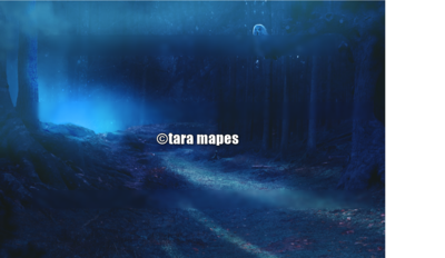 Woods at Night Scene with Owl Digital Background / Backdrop