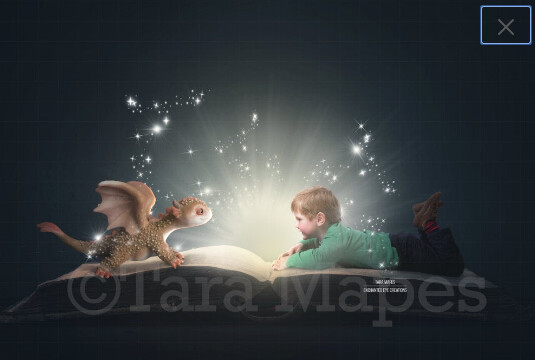 Baby Dragon on Magic Book Digital Background / Backdrop Digital Background Backdrop