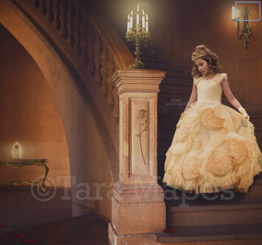Princess Castle Staircase with Magic Rose Digital Background Backdrop Photoshop