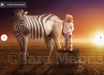 Zebra Stripes Painted On - Creamy Sunset - Fun Funny Zebra Digital Background