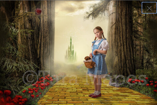Yellow Brick Road - Wizard of Oz - Enchanted Forest - Digital Background