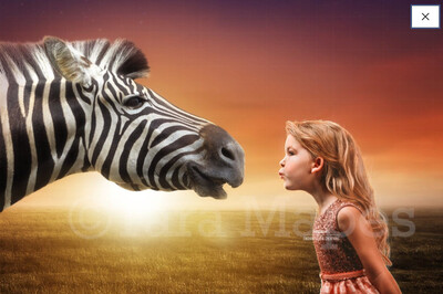 Zebra Kiss - Zebra with Creamy Sunset - Fun Digital Background Backdrop