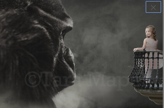 Big Monkey Ape by Balcony Digital Background / Backdrop Digital Background Backdrop