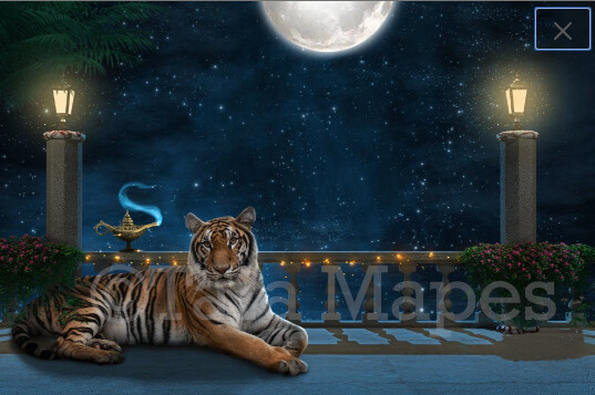 Balcony - Arabian Night - Big Tiger - Genie Lamp - Digital Background / Backdrop