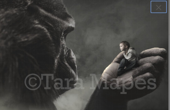 Big Monkey Ape by Balcony Digital Background / Backdrop Digital Background Backdrop