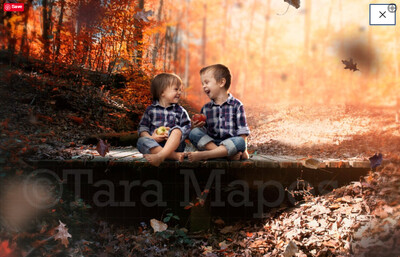 Wooden Bridge in Creamy Rich Forest Digital Background / Backdrop