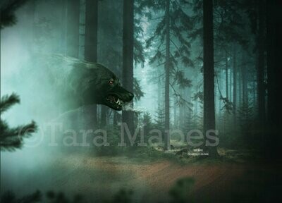 Wolf in Dark Scary Forest Digital Background Backdrop
