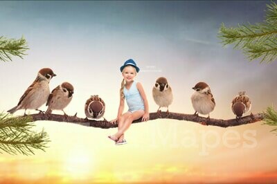 Birds on a Branch in Sunset Digital Background / Backdrop